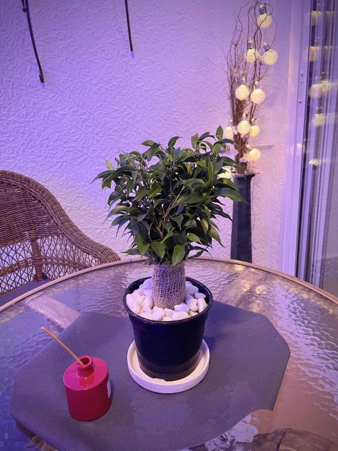 Apartamento Flamingo Gran Alacant 산타 폴라 외부 사진