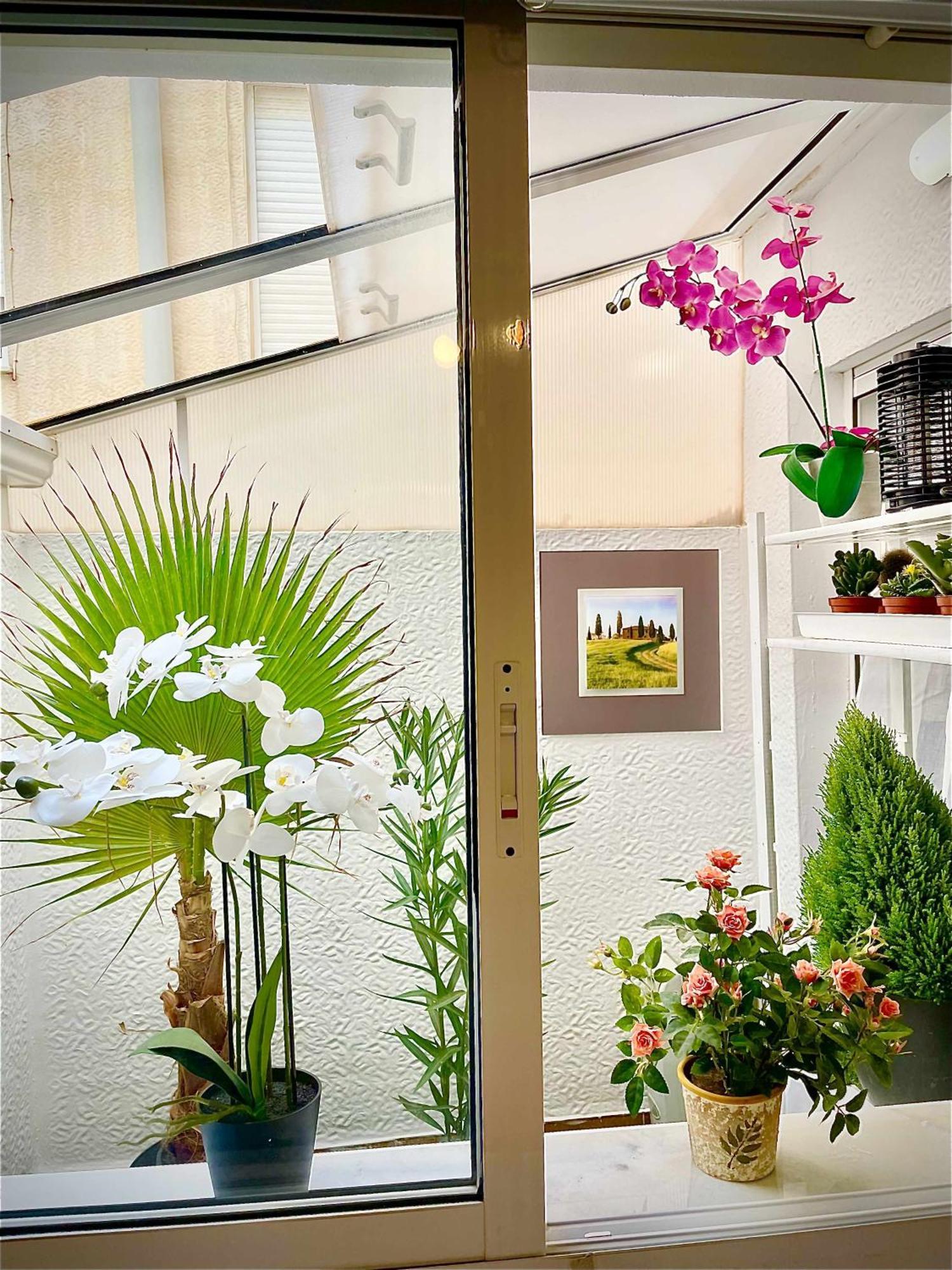 Apartamento Flamingo Gran Alacant 산타 폴라 외부 사진